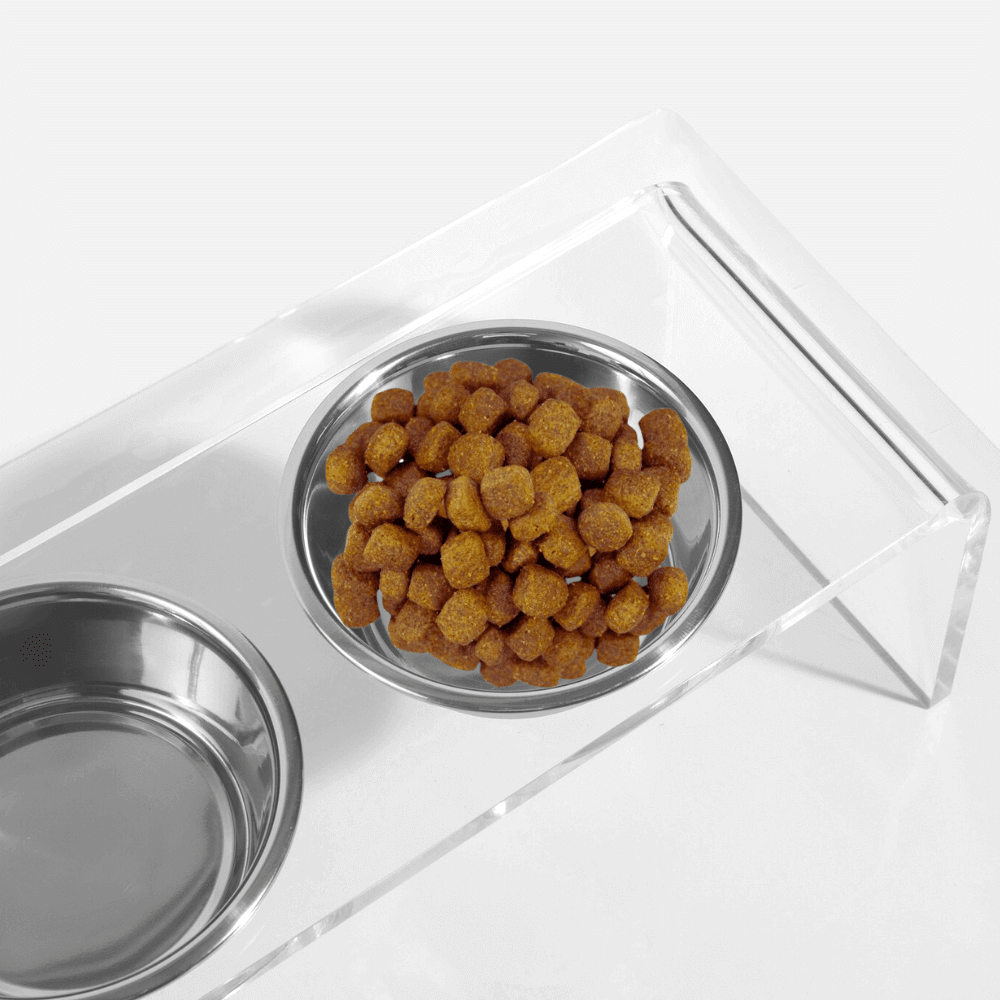 Hiddin Clear Acrylic Double Feeder with Silver Bowls – 7 in High