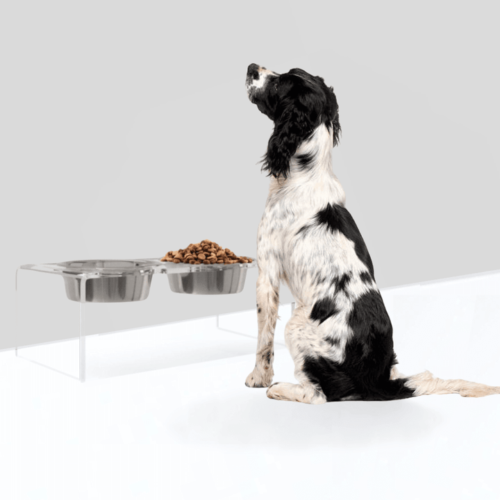 Hiddin Clear Acrylic Double Feeder with Silver Bowls – 7 in High