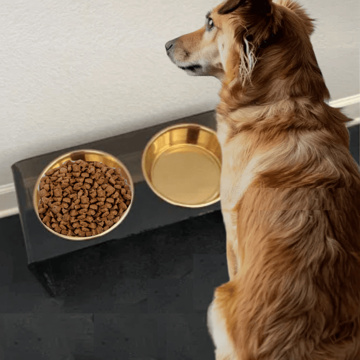 Hiddin Smoke Grey Acrylic Double Feeder – 7 in High