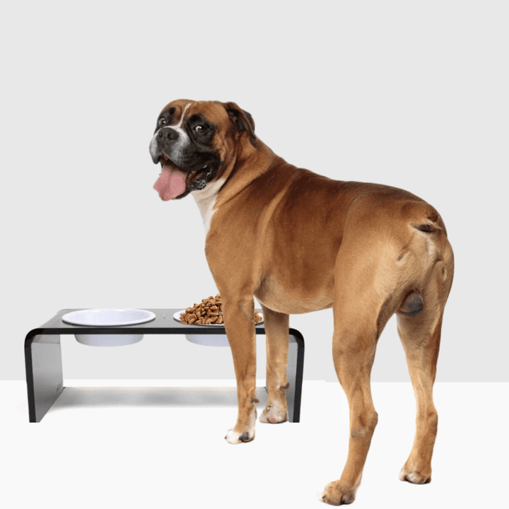 Hiddin Smoke Grey Acrylic Double Feeder – 7 in High