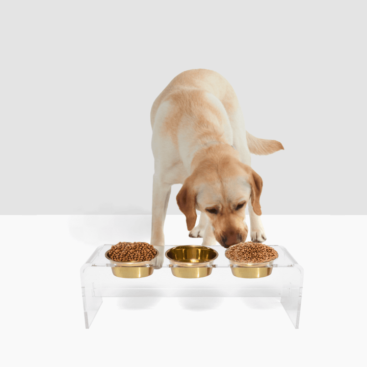 Hiddin Clear Acrylic Triple Feeder with Gold Bowls – 12 in High