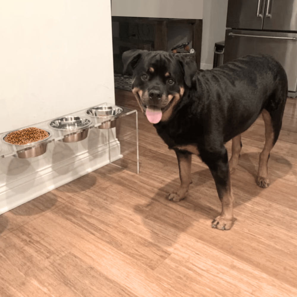 Hiddin Clear Acrylic Triple Feeder with Silver Bowls – 7 in High