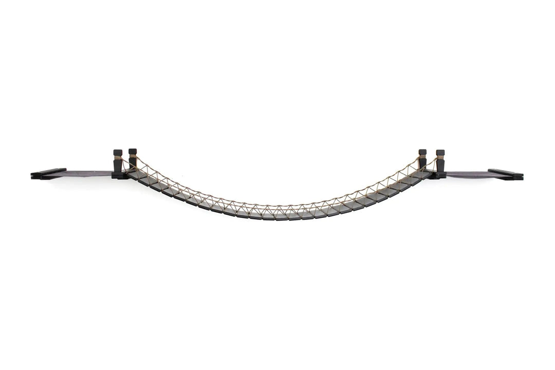 Double Cat Hammock and Climbing Bridge Combo by Catastrophic Creations, curved black plank cat bridge with rope netting