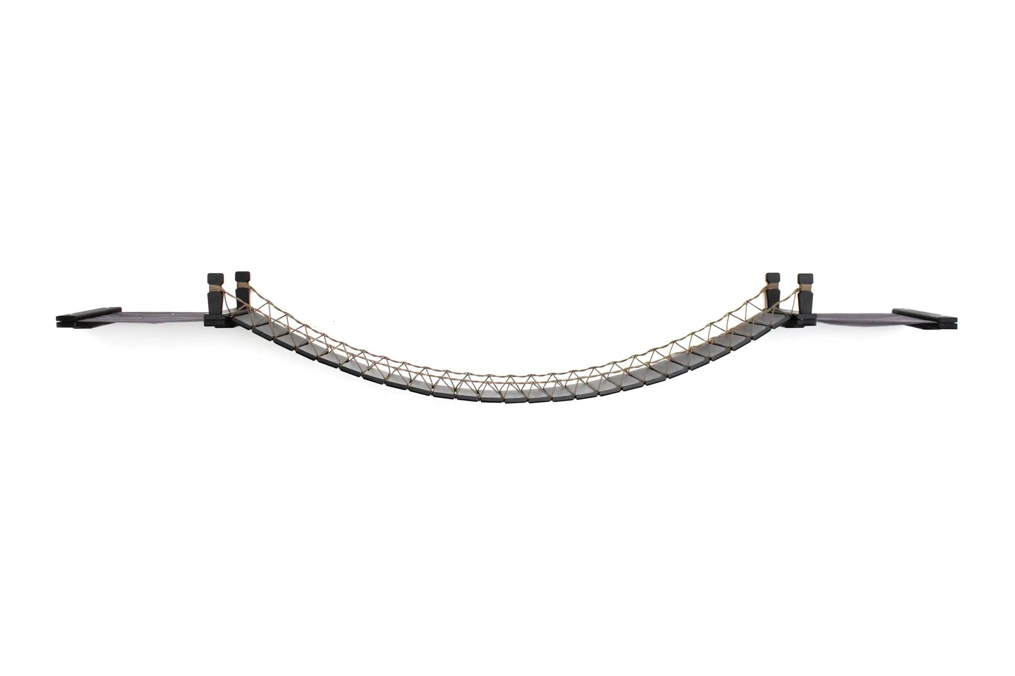 Double Cat Hammock and Climbing Bridge Combo by Catastrophic Creations, curved black plank cat bridge with rope netting