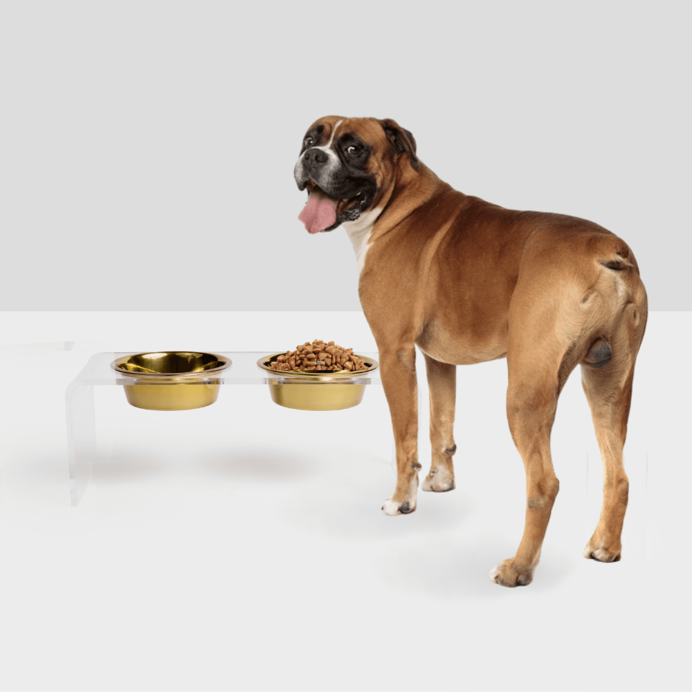 Hiddin Clear Acrylic Double Feeder with Gold Bowls – 7 in High