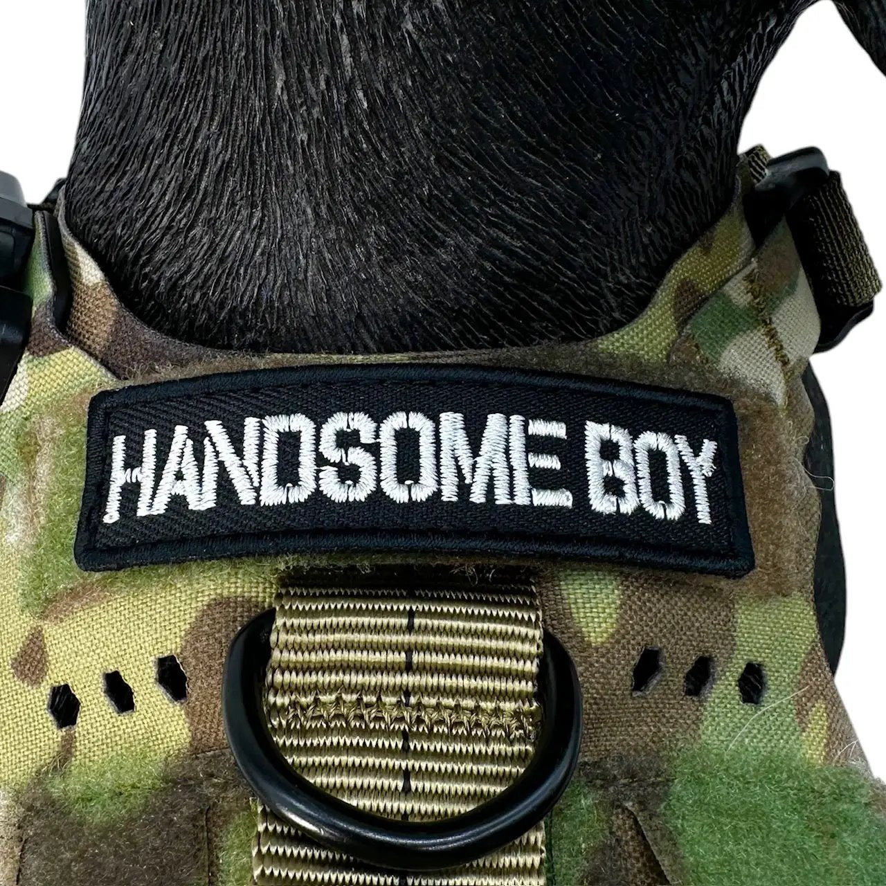 Premium Mini Handsome Boy Morale Patch Embroidered For Vests And Harnesses With Velcro Hook Backing by kiloninerpets