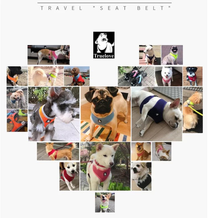 TrueLove Soft Mesh Dog Harness TLH1911