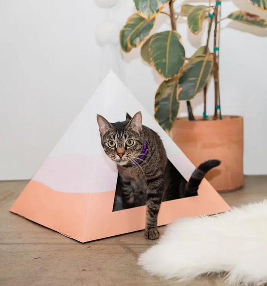 Kitty Kardboard Wavey Cardboard Cat Pyramid Modern Art Decor by KittyKardboard
