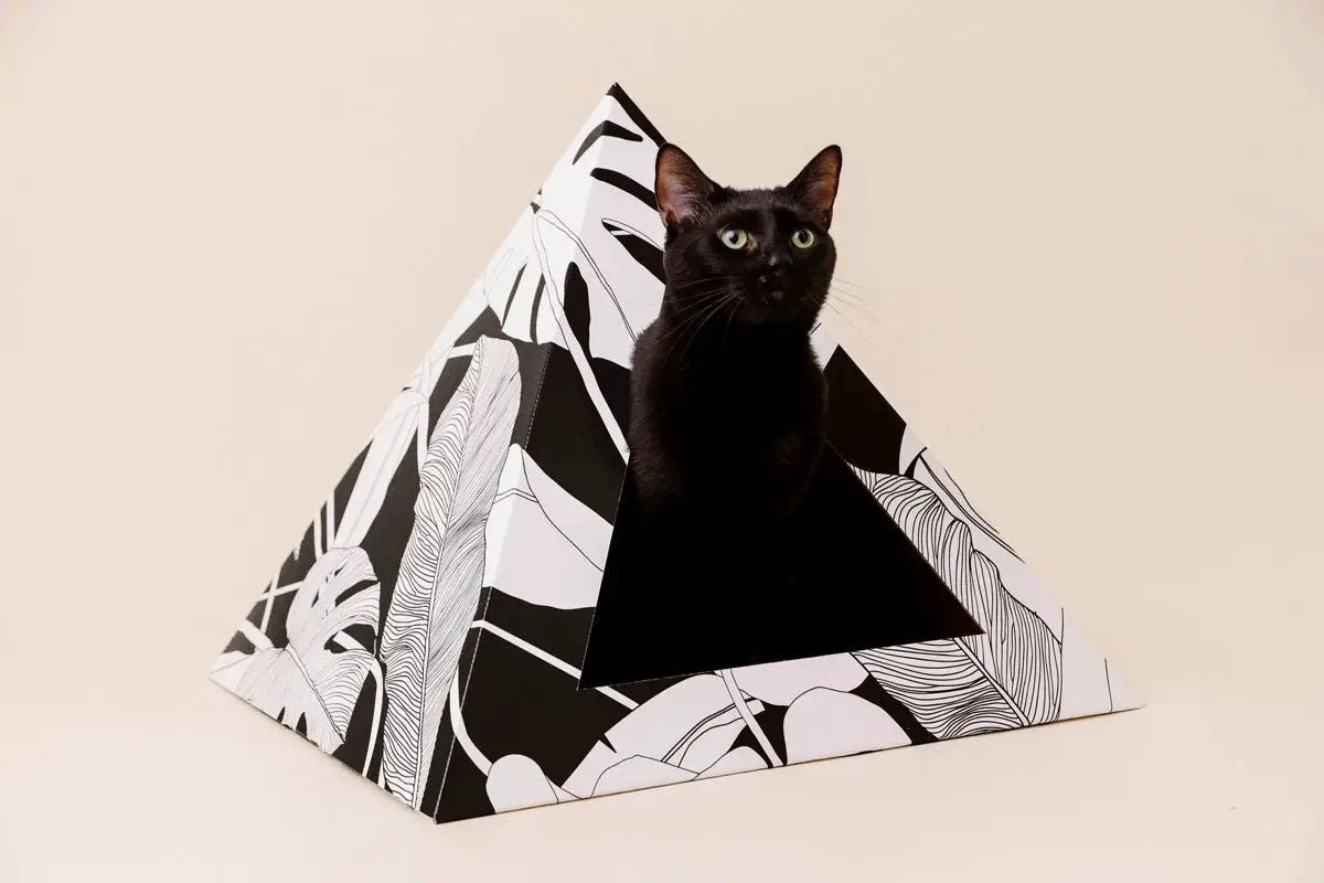 Kitty Kardboard Dark Paradise Cardboard Cat Pyramid Super Sleek Modern Artistic Decoration by KittyKardboard