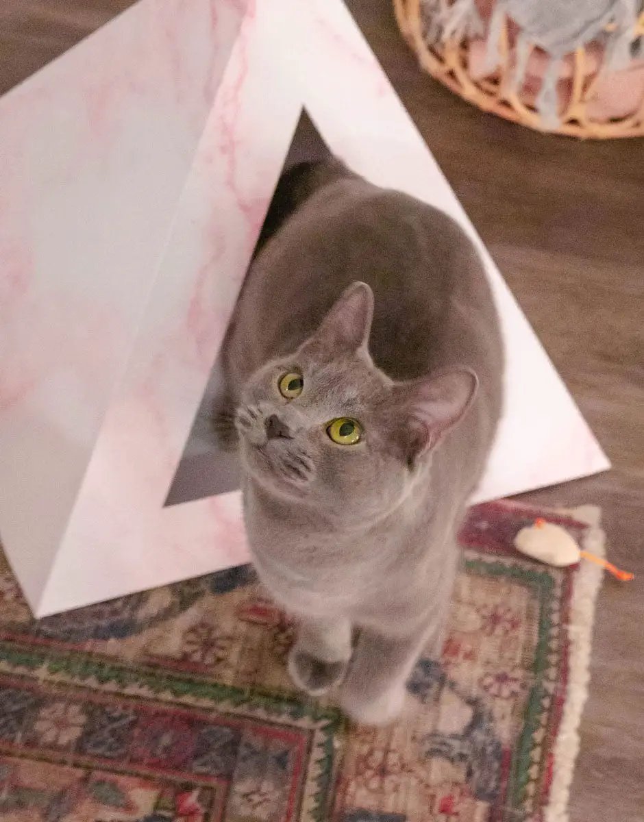 Kitty Kardboard Rose Quartz Cardboard Cat Pyramid Stylish Decor by KittyKardboard