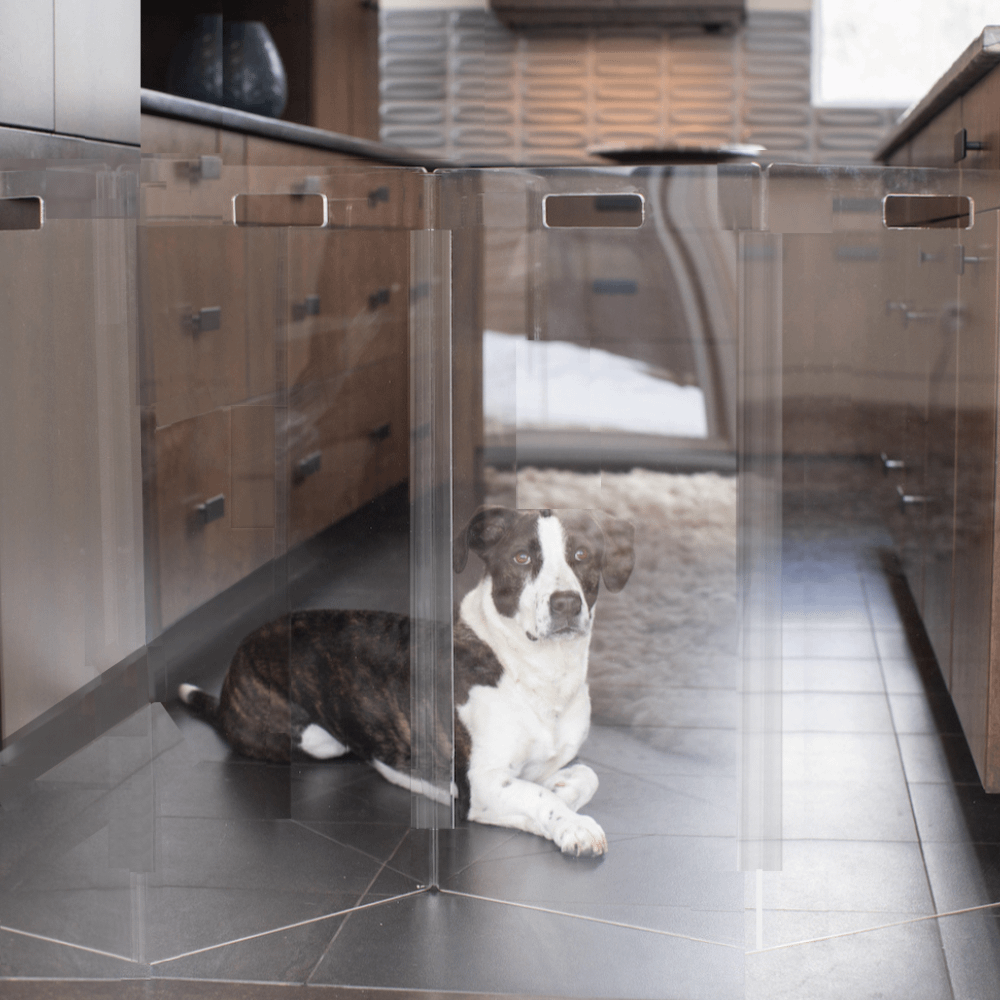 Hiddin Tall Clear Acrylic Zig Zag Pet Gate – Freestanding