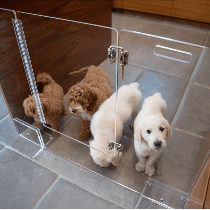 Hiddin Clear Acrylic Pet Gate with Door – Freestanding, 30 in High
