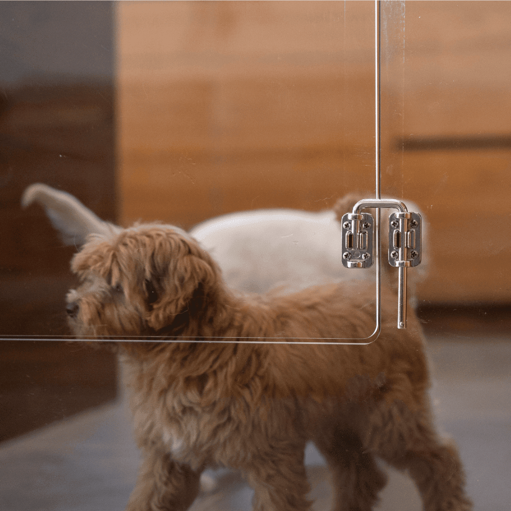 Hiddin Clear Acrylic Pet Gate with Door – Wall-Mounted, 30 in High