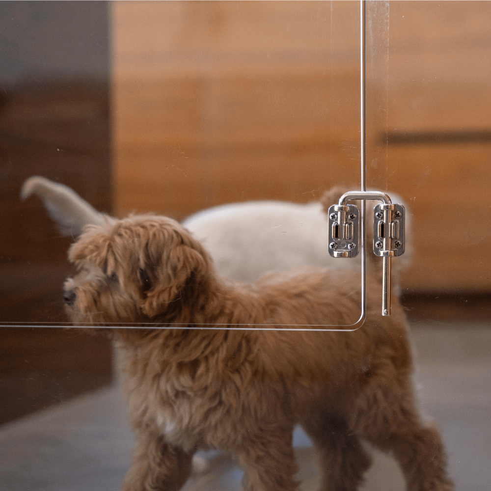 Hiddin Clear Acrylic Pet Gate with Door – Freestanding, 30 in High