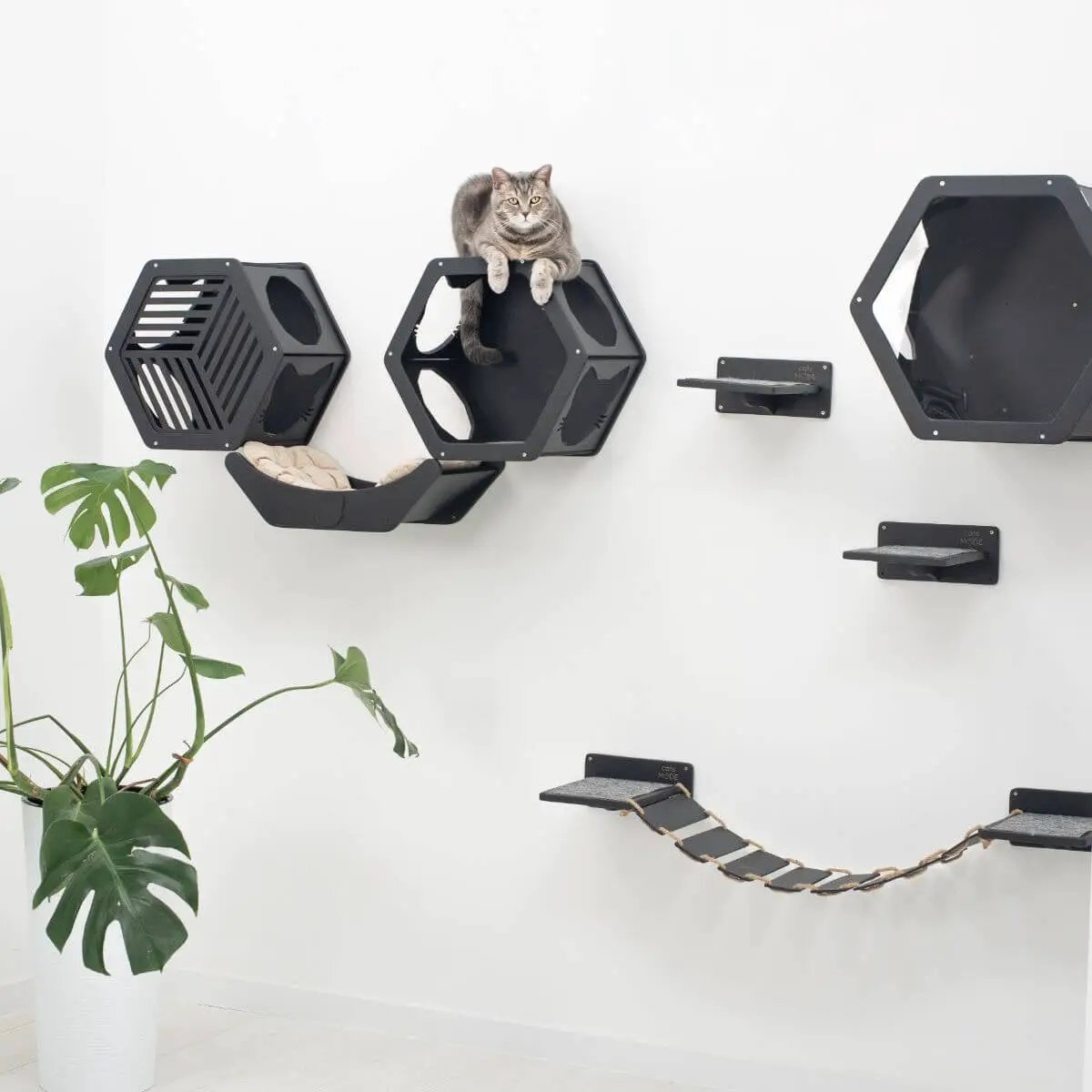 Luxury Modern Curved Cat Wall Bed Perch Black Designed For Climbing And Safe Vantage Point by Enjoy The Wood
