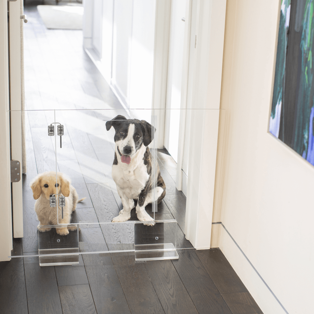 Hiddin Clear Acrylic Pet Gate with Door – Freestanding, 30 in High