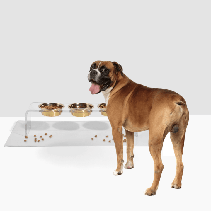 Hiddin Clear Acrylic Triple Feeder with Gold Bowls – 7 in High