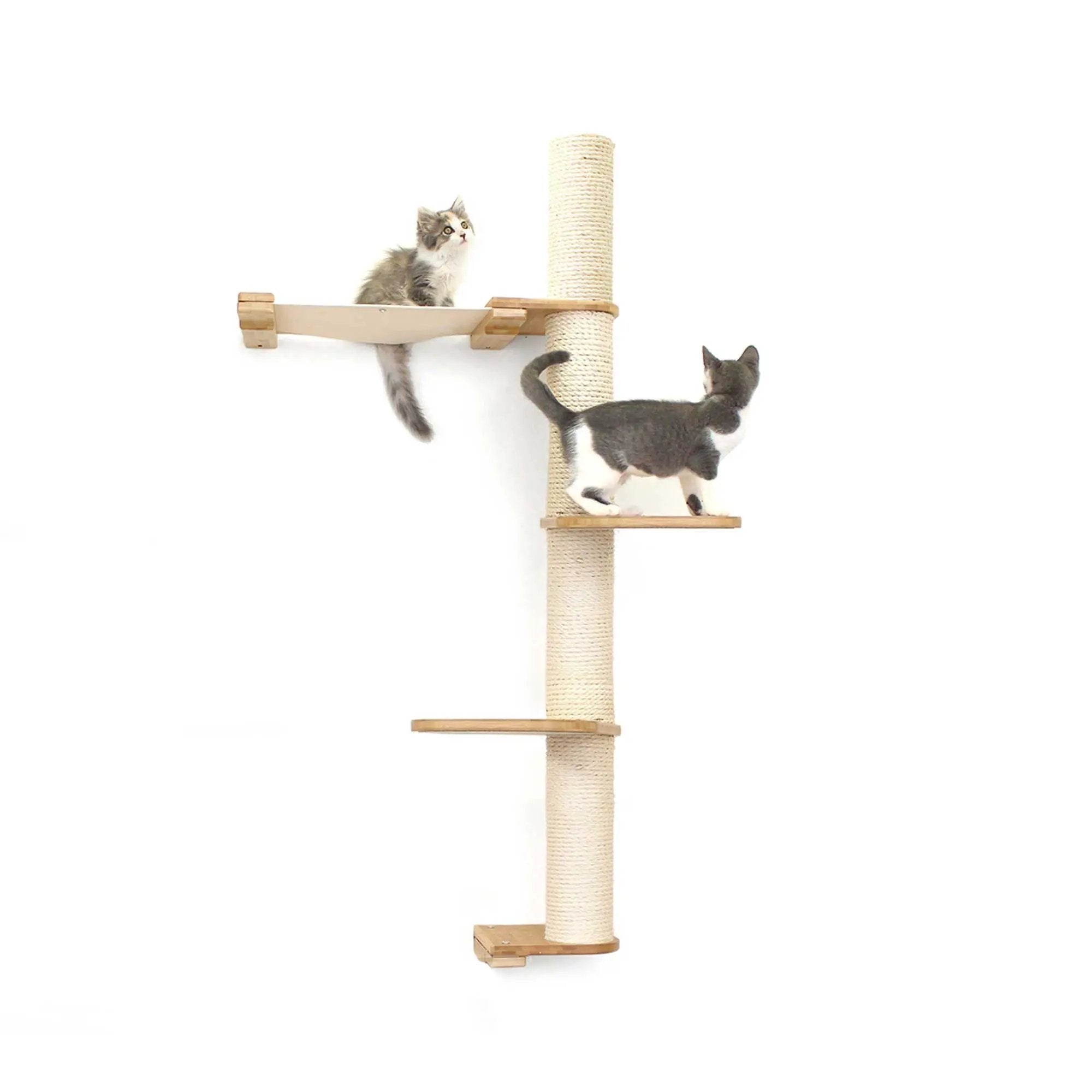 The Crow's Nest wall cat scratcher with hammock, natural wood and sisal rope, two cats