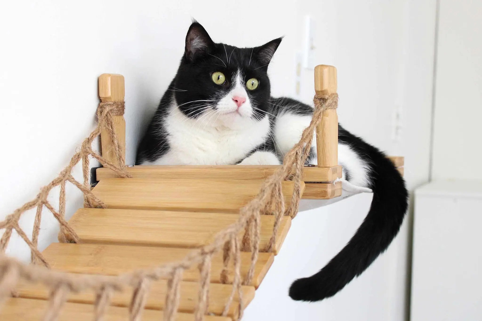 Double Cat Hammock and Climbing Bridge Combo; wooden cat bridge with natural rope accents