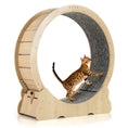 Load image into Gallery viewer, DirectDeals 40-Inch cat exercise wheel with carpeted interior and lockable mechanism for indoor cats.
