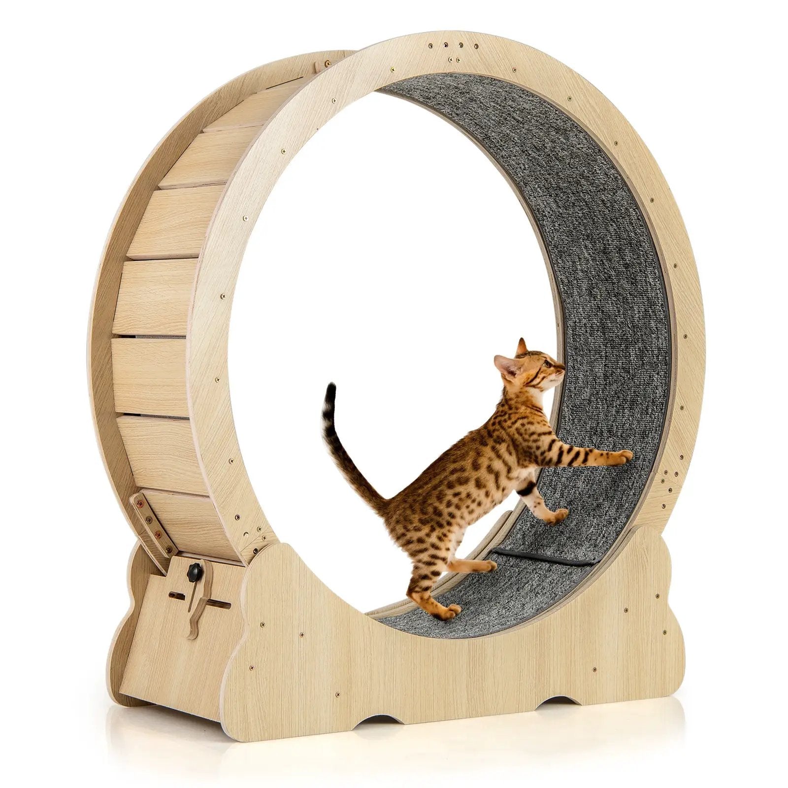 DirectDeals 40-Inch cat exercise wheel with carpeted interior and lockable mechanism for indoor cats.
