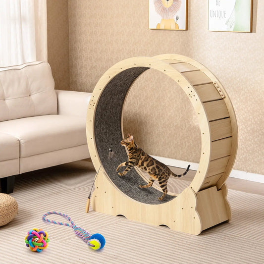 40-inch cat exercise wheel with lockable mechanism, natural wood and carpeted interior for indoor cats