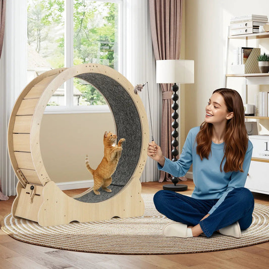 DirectDeals 40-inch cat exercise wheel with lockable mechanism and carpeted runway in living room