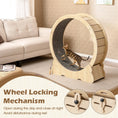 Load image into Gallery viewer, Cat exercise wheel by DirectDeals, 40-inch natural wood with lockable mechanism and carpeted interior; indoor use
