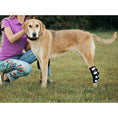 Bild in Galerie-Betrachter laden, NeoAlly 3-in-1 long rear leg hock brace, black with reflective straps, pair.
