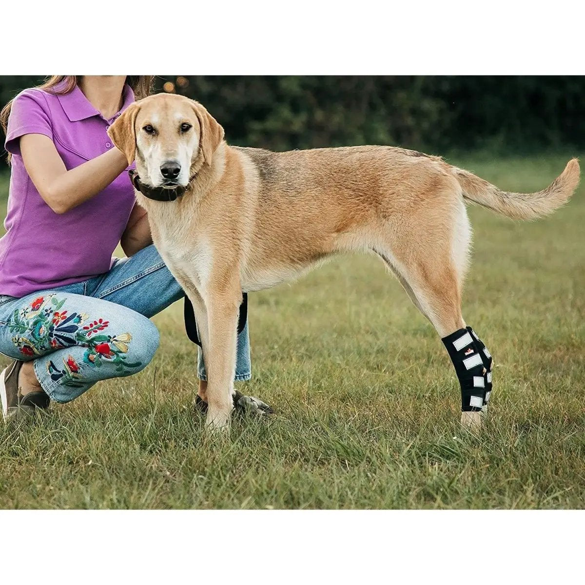 NeoAlly 3-in-1 long rear leg hock brace, black with reflective straps, pair.