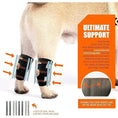 Load image into Gallery viewer, Neoallypets NeoAlly 3-in-1 short rear leg hock brace for small dogs with rigid/spring inserts, pair
