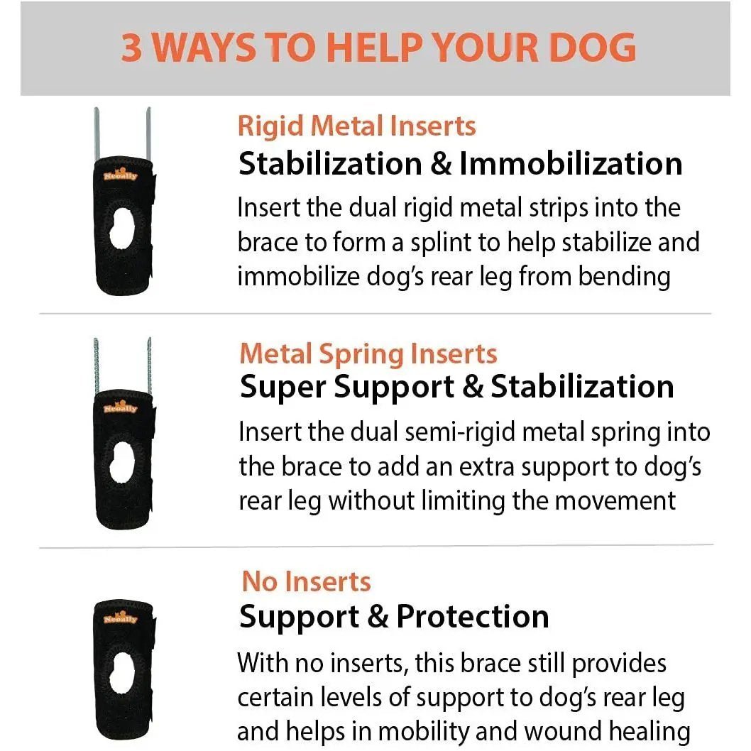 Neoallypets 3-in-1 short rear leg hock brace for small dogs, black with orange logo, pair with rigid and spring inserts