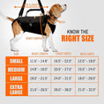 Load image into Gallery viewer, NeoAlly 5-in-1 Sturdy Dog Lift Harness Full Body Support, black nylon with multiple straps by Neoallypets
