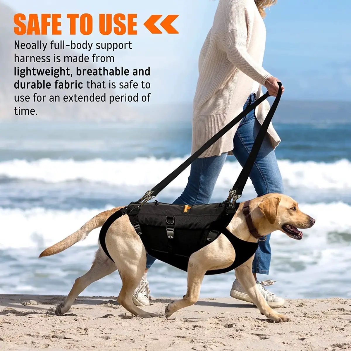 NeoAlly 5-in-1 sturdy dog lift harness for full body support in black nylon worn by a dog on a beach walk
