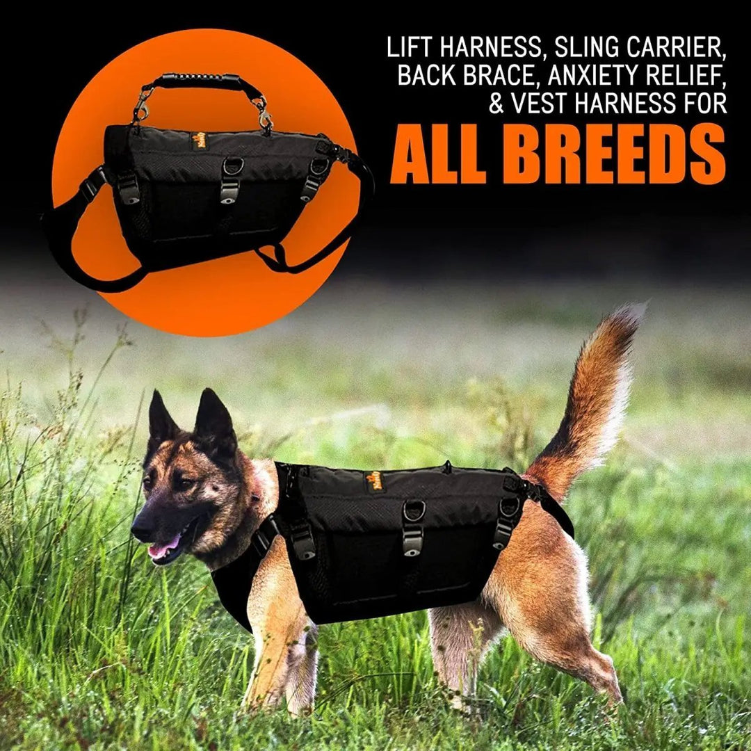 NeoAlly 5-in-1 Sturdy Dog Lift Harness Full Body Support, black, Neoallypets, shown on a German Shepherd.