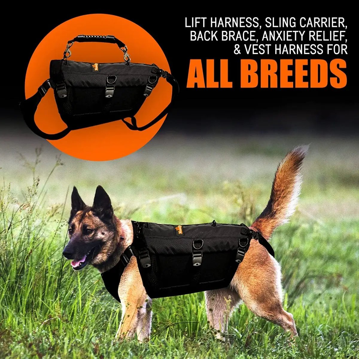 NeoAlly 5-in-1 Sturdy Dog Lift Harness Full Body Support, black, Neoallypets, shown on a German Shepherd.