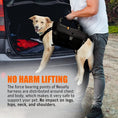 Load image into Gallery viewer, NeoAlly 5-in-1 dog lift harness in black by Neoallypets with multiple handles for full-body support.
