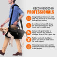 Load image into Gallery viewer, NeoAlly 5-in-1 Dog Lift Harness by Neoallypets; black full-body support harness worn by a man lifting a dog.
