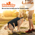 Load image into Gallery viewer, NeoAlly dog back brace with inserts for extra support, Neoallypets brand, on a golden retriever.

