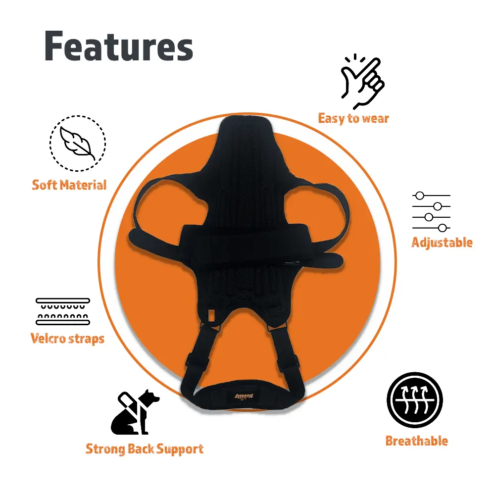 NeoAlly dog back brace by Neoallypets, black with inserts for extra support