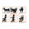 Load image into Gallery viewer, Neoallypets NeoAlly Dog Back Brace with Inserts; black adjustable straps shown in a step-by-step fitting guide collage
