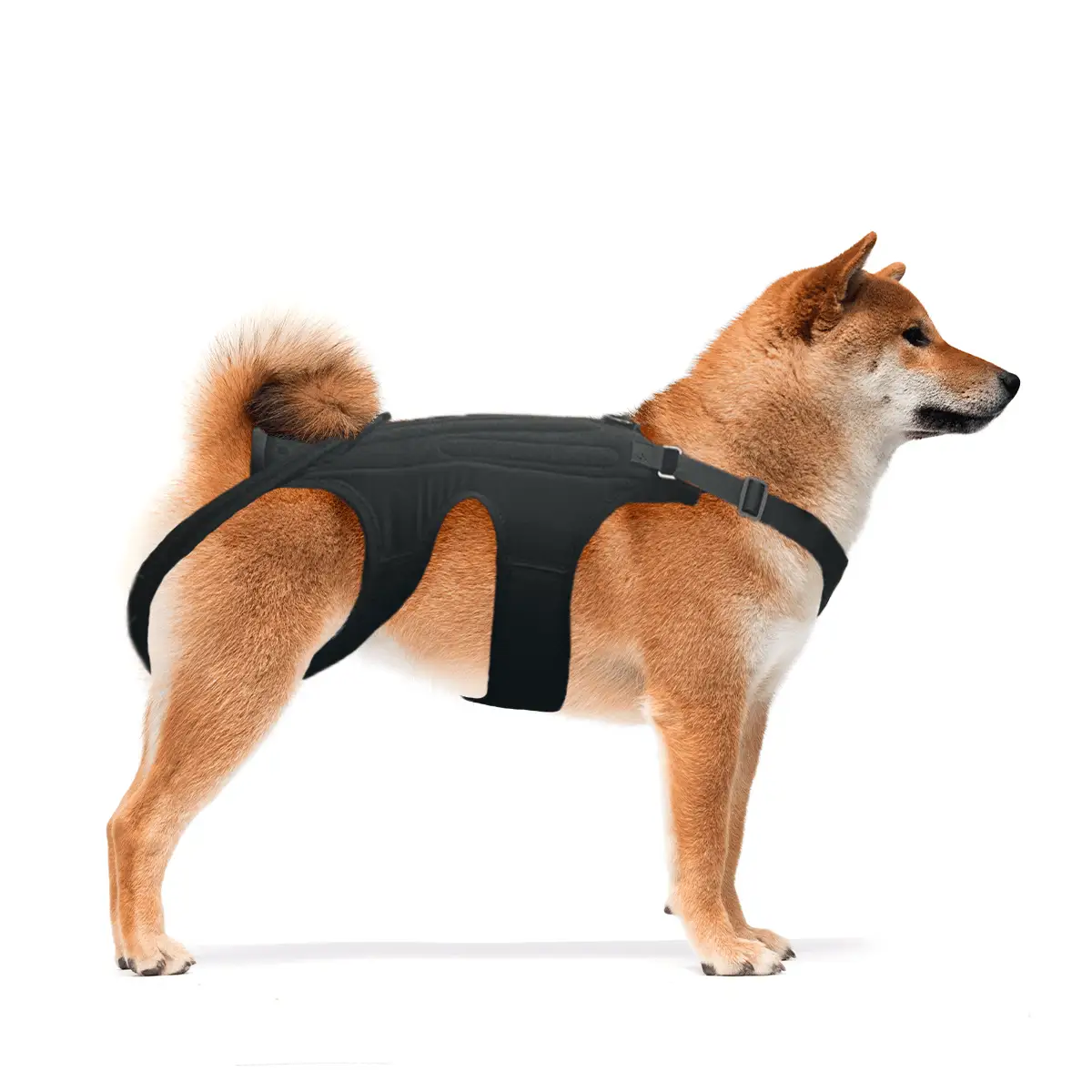 NeoAlly Dog Back Brace with Inserts, black, for added support