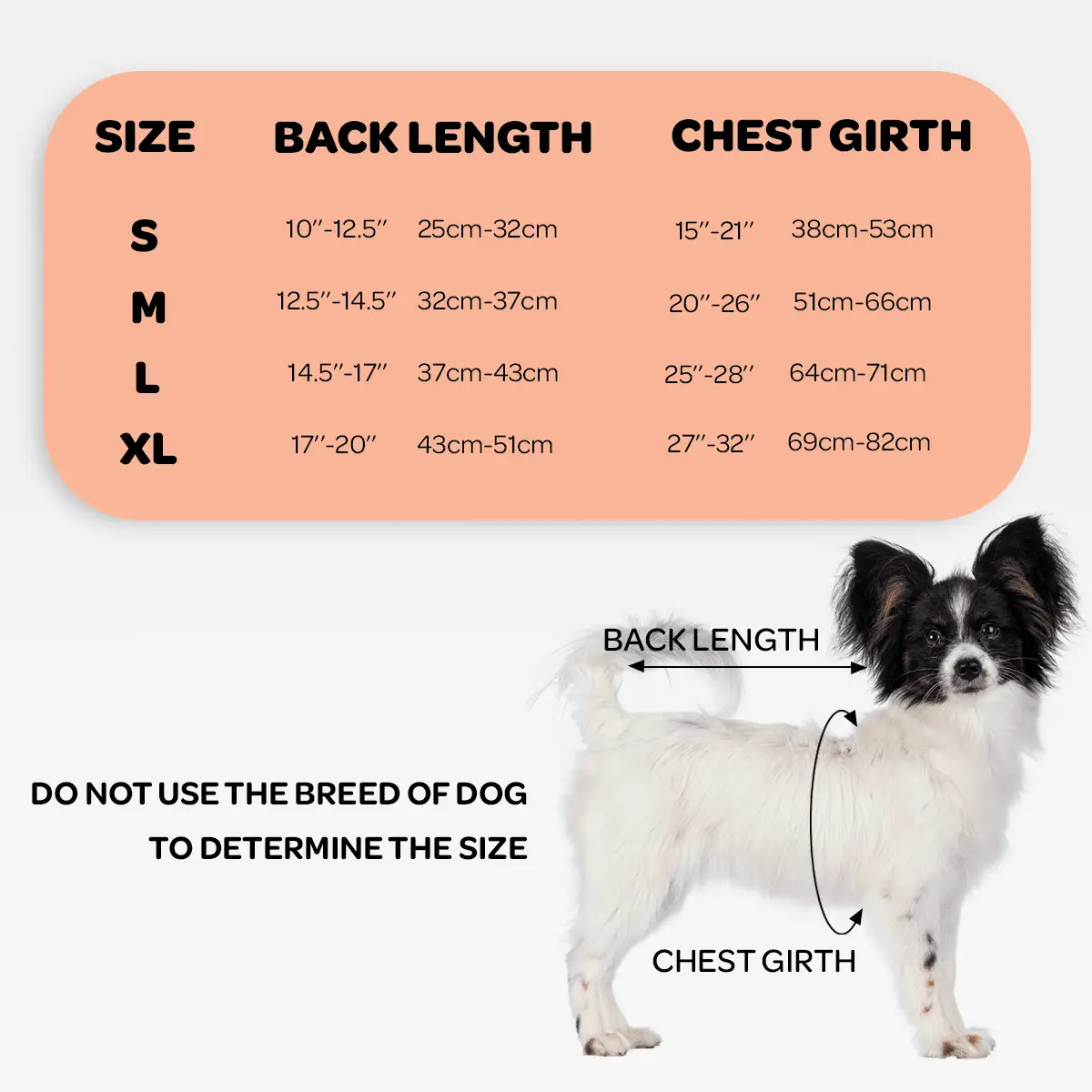 NeoAlly Dog Back Brace by Neoallypets with size chart (S–XL) showing back length and chest girth