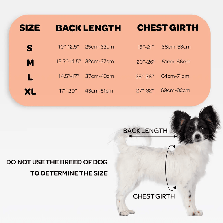 NeoAlly Dog Back Brace by Neoallypets with size chart (S–XL) showing back length and chest girth