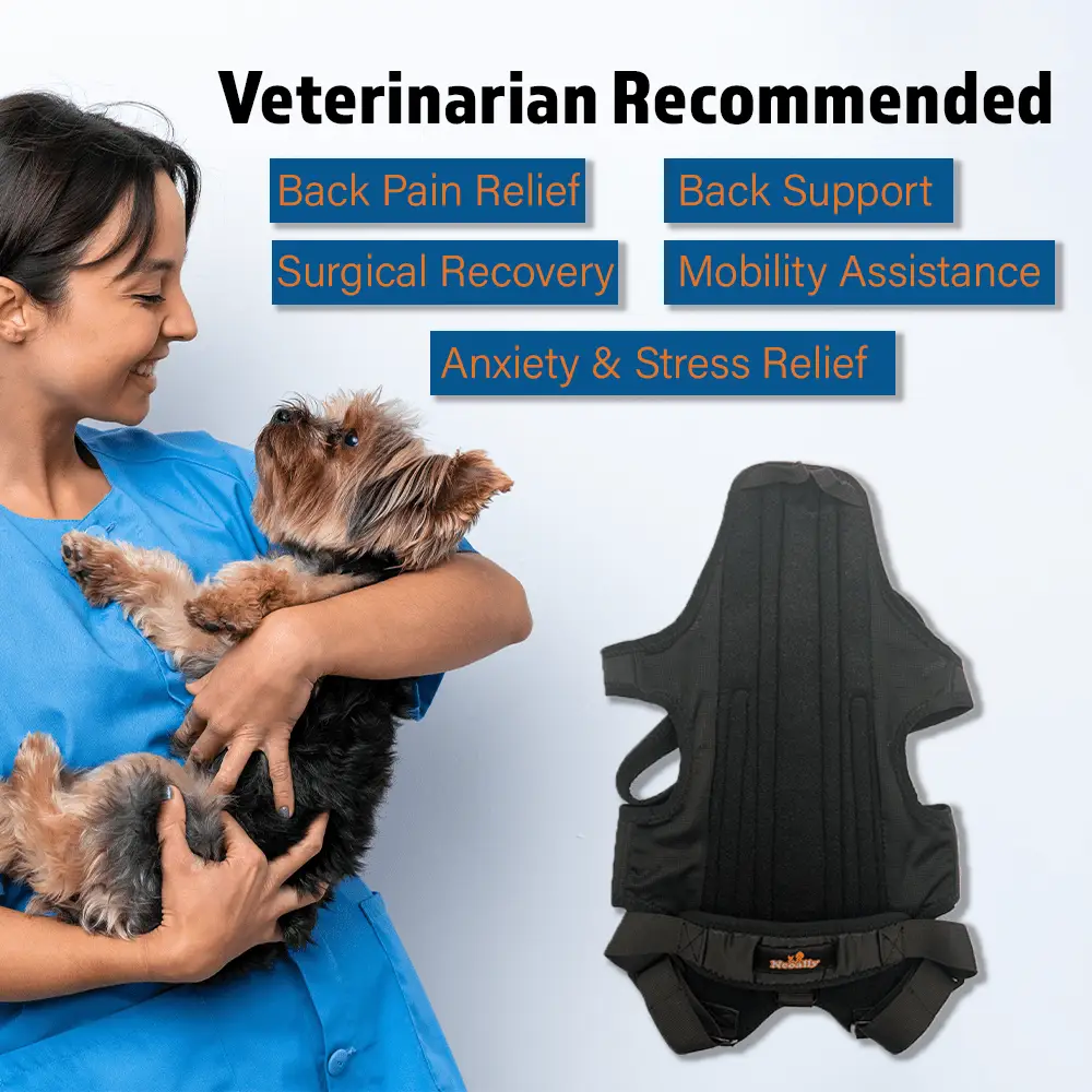 NeoAlly Dog Back Brace with inserts for extra support by Neoallypets, black dog harness