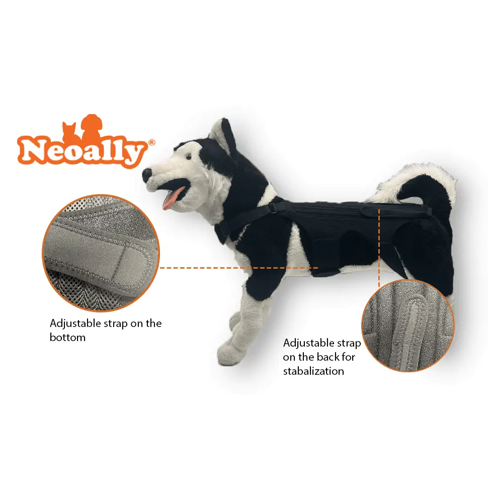 NeoAlly Dog Back Brace by Neoallypets; black adjustable harness with bottom and back stabilizing straps
