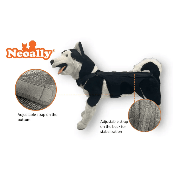 NeoAlly Dog Back Brace by Neoallypets; black adjustable harness with bottom and back stabilizing straps