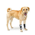 Load image into Gallery viewer, Neoallypets dog front leg braces with black bands and reflective straps (pair)

