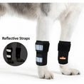 Bild in Galerie-Betrachter laden, NeoAlly dog front leg braces with reflective straps, black pair
