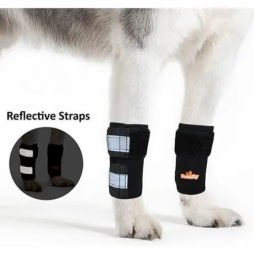 NeoAlly dog front leg braces with reflective straps, black pair